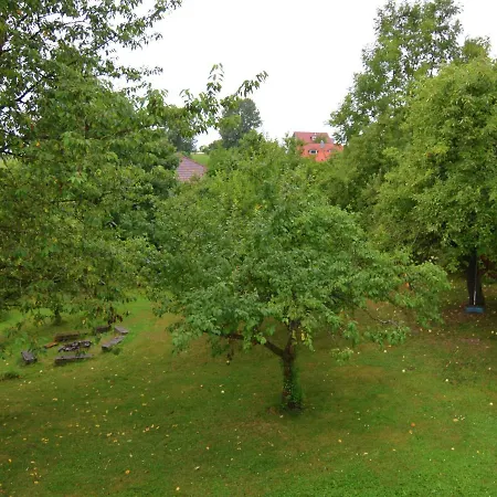 Luxurious Holiday In Near Forest